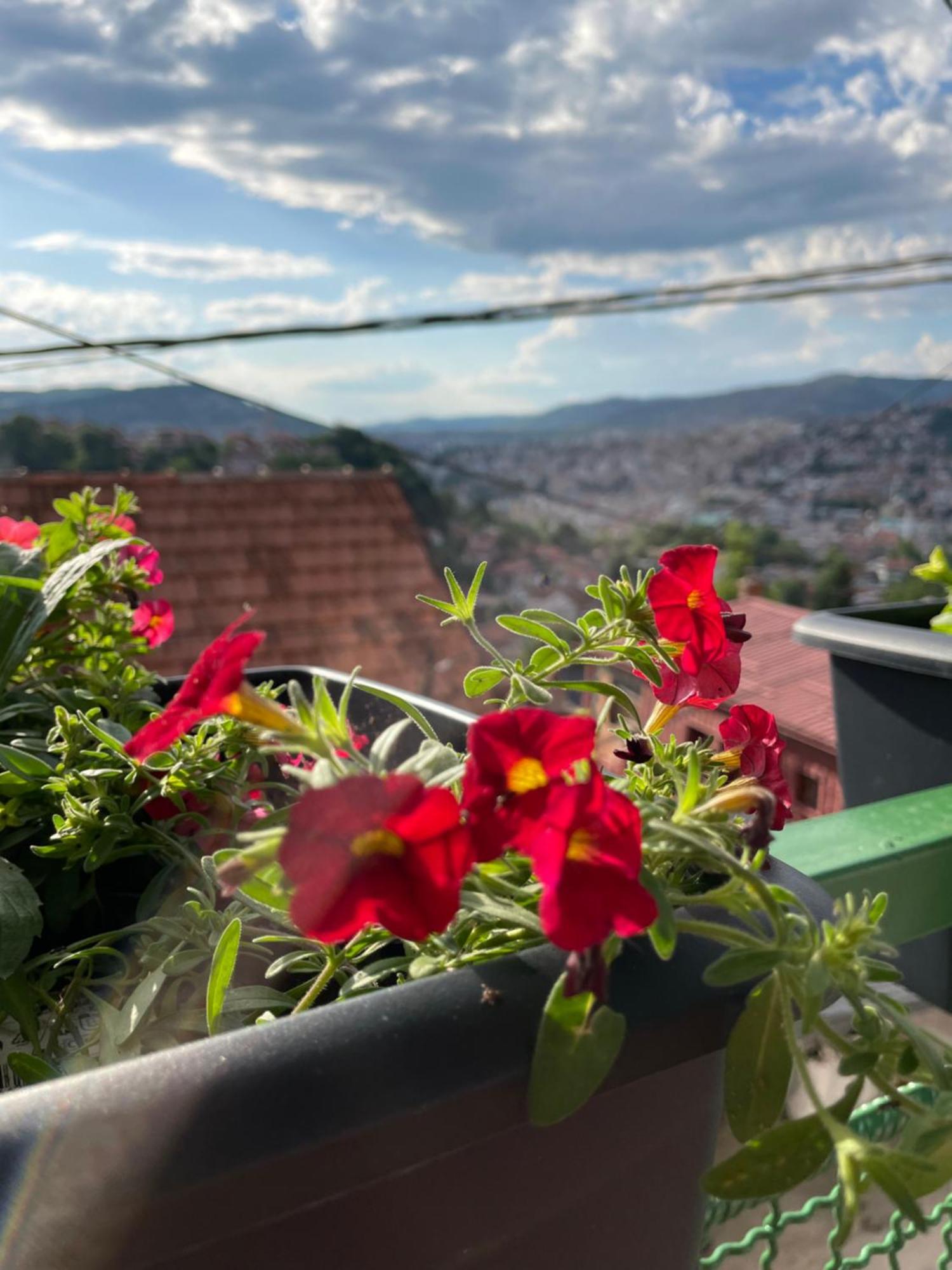 Sarajevo Cozy Attic公寓 外观 照片